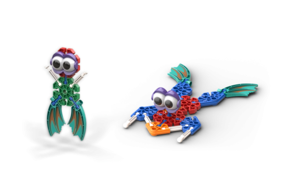 From Tadpole to Frog